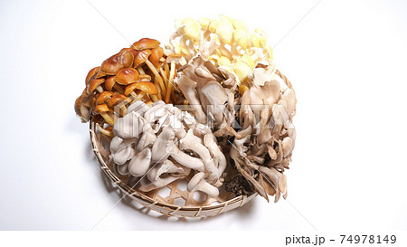 たくさんのきのこ　白背景 74978149