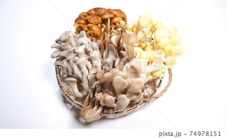 たくさんのきのこ　白背景 74978151
