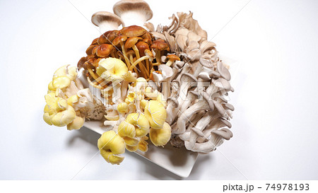 たくさんのきのこ　白背景 74978193