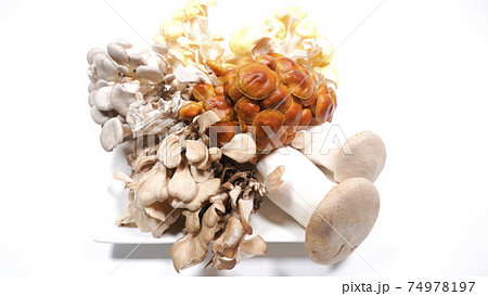 たくさんのきのこ　白背景 74978197