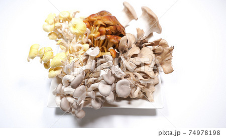 たくさんのきのこ　白背景 74978198