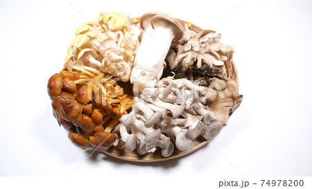 たくさんのきのこ　白背景 74978200