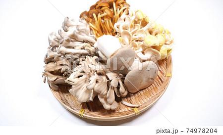たくさんのきのこ　白背景 74978204