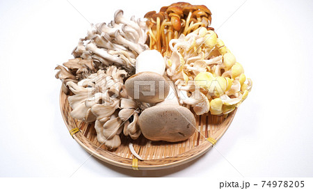 たくさんのきのこ　白背景 74978205