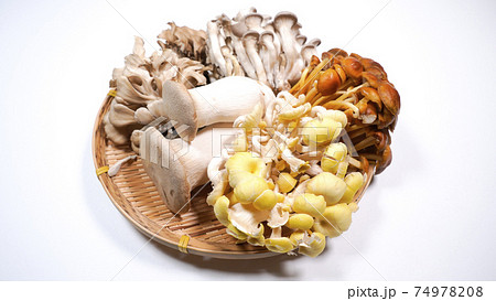 たくさんのきのこ　白背景 74978208