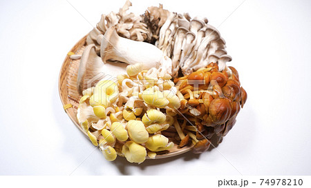 たくさんのきのこ　白背景 74978210