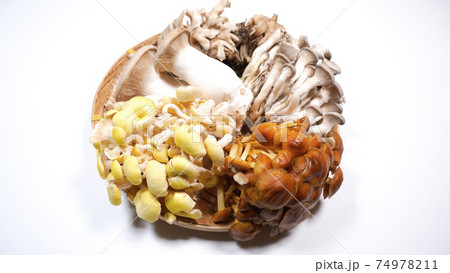 たくさんのきのこ　白背景 74978211