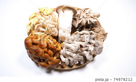 たくさんのきのこ　白背景 74978212