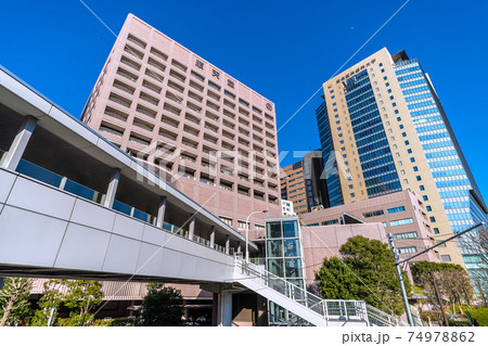 日本の東京都市景観 順天堂や東京医科歯科大学などを望む 日本の東京都市景観 順天堂や東京医科歯科大学などを望む 74978862