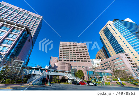日本の東京都市景観 順天堂や東京医科歯科大学などを望む 日本の東京都市景観 順天堂や東京医科歯科大学などを望む 74978863
