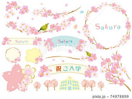 春の桜　フレーム素材セット 74978899