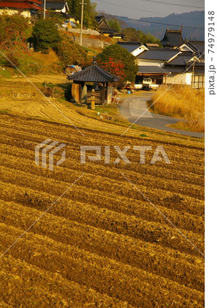 岡山県 美星町 辻堂のある田畑風景 岡山県 美星町 辻堂のある田畑風景 74979148