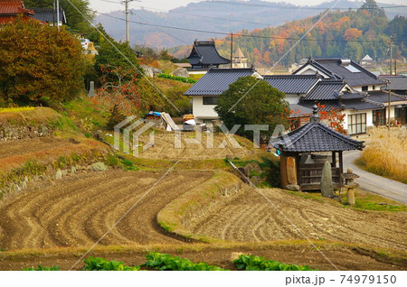 岡山県 美星町　辻堂のある田畑風景 74979150