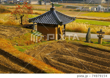 岡山県 美星町 辻堂のある田畑風景 岡山県 美星町 辻堂のある田畑風景 74979154