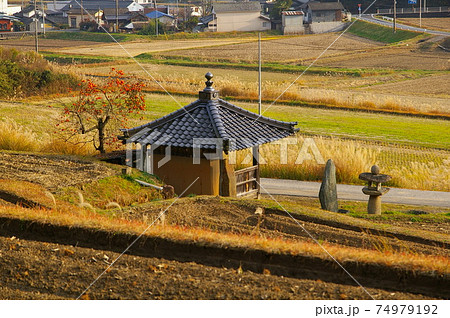 岡山県 美星町 辻堂のある田畑風景 岡山県 美星町 辻堂のある田畑風景 74979192
