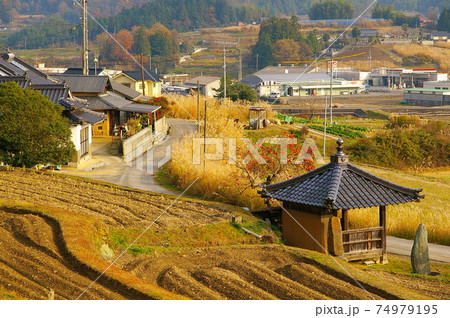 岡山県 美星町　辻堂のある田畑風景 74979195