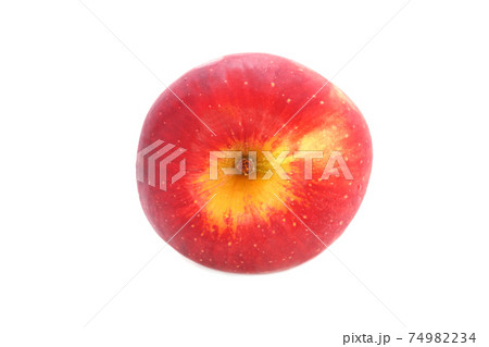 サイフレッシュ サイフレッシュ 74982234