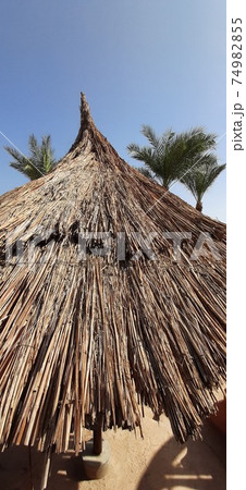 The texture of the gatural straw. Canopy from the sun. The texture of the gatural straw. Canopy from the sun. 74982855
