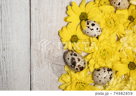 Easter background in natural style. yellow flowers and quail eggs on a Easter background in natural style. yellow flowers and quail eggs on a 74982859