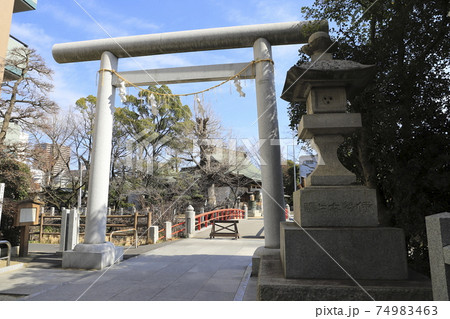 松戸神社　鳥居　千葉県松戸市松戸　 74983463
