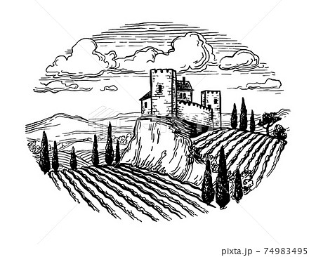 Hand drawn vineyard landscape. Hand drawn vineyard landscape. 74983495