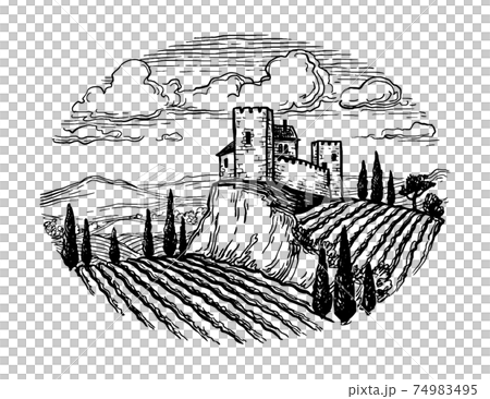Hand drawn vineyard landscape. Hand drawn vineyard landscape. 74983495