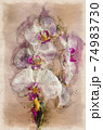 watercolor a close-up of a pink orchid flower 74983730