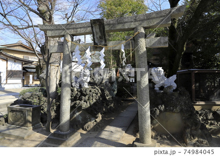 松戸神社　鳥居　千葉県松戸市松戸　　 74984045