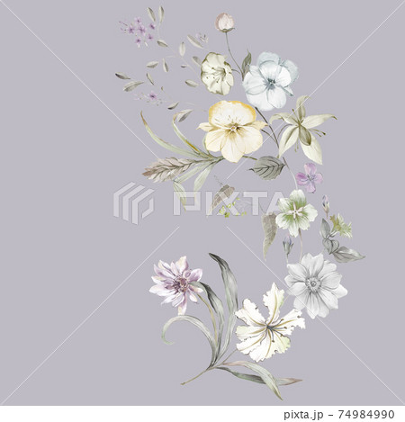 透明水彩 水彩画 花 74984990