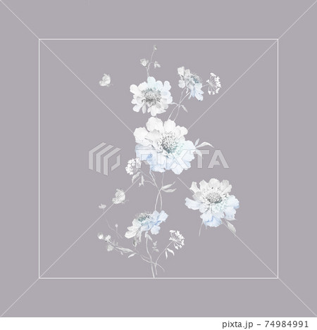 透明水彩 水彩画 花 74984991