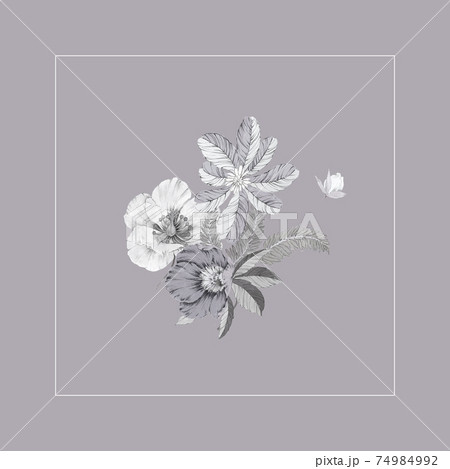 透明水彩 水彩画 花 74984992