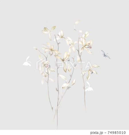 透明水彩 水彩画 花 74985010