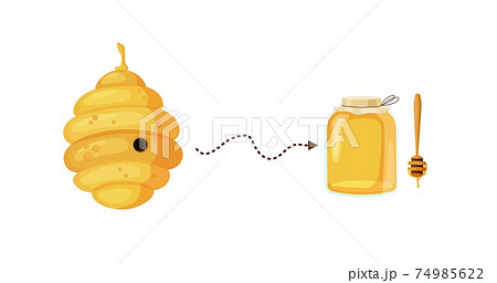 Bee hive with dotted arrow to jar honey clipart. Yellow layered nectar beehive. 74985622