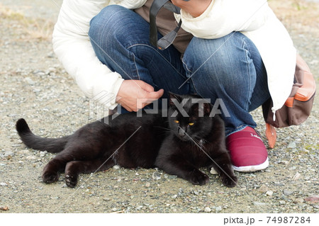 生まれて半年の甘えるのが上手い野良猫の黒猫オス 生まれて半年の甘えるのが上手い野良猫の黒猫オス 74987284