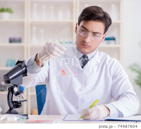 Expert criminologist working in the lab for evidence 74987604