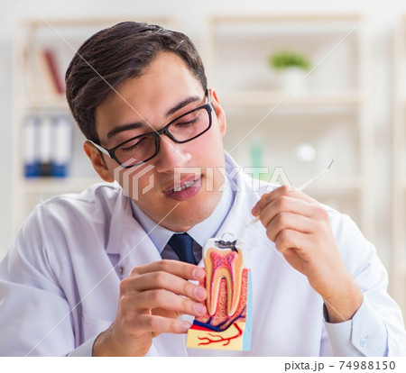 Young dentist working in the dentistry hospital Young dentist working in the dentistry hospital 74988150