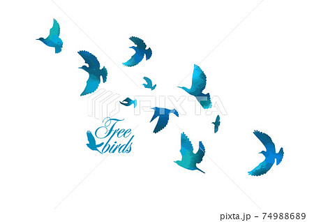 Bird watercolor. A flock of colorful birds. Mixed media. Vector illustration 74988689