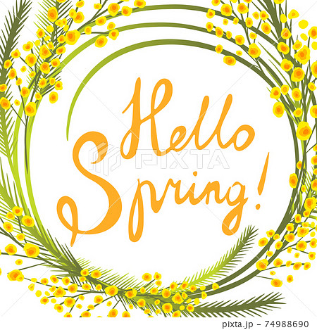 Postcard March 8. Mimosa branches. Hello Spring. Vector illustration 74988690