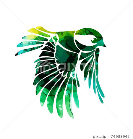A multi-colored flying decorative bird. Picturesque tit. Vector illustration 74988945