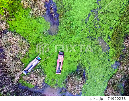 倍 スポット 緑 74990238