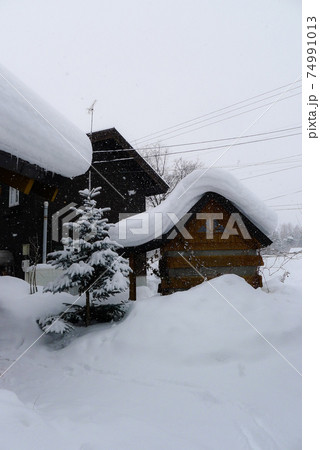 白い雪、静かな冬、春を待つひと時、穏やかな心 白い雪、静かな冬、春を待つひと時、穏やかな心 74991013