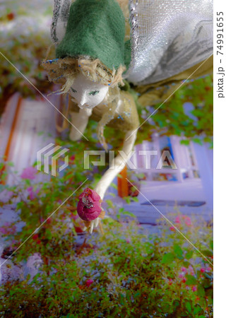 北の国の麓郷の妖精 74991655