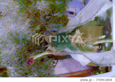 北の国の麓郷の妖精 74991669