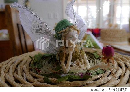 北の国の麓郷の妖精 74991677