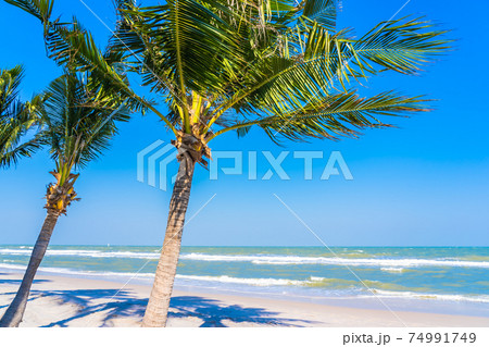 Beautiful tropical beach sea ocean with palm tree Beautiful tropical beach sea ocean with palm tree 74991749