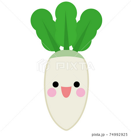 Vegetables Radishes Stock Illustration