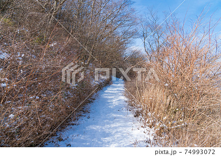 六甲山最高峰から六甲ガーデンテラスへ向かう雪山登山道 六甲山最高峰から六甲ガーデンテラスへ向かう雪山登山道 74993072