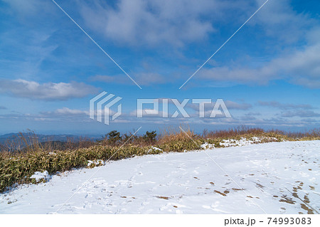 六甲山の山頂(六甲山最高峰) 六甲山の山頂(六甲山最高峰) 74993083