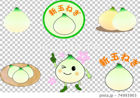 かわいい新玉ねぎのイラストセットのイラスト素材