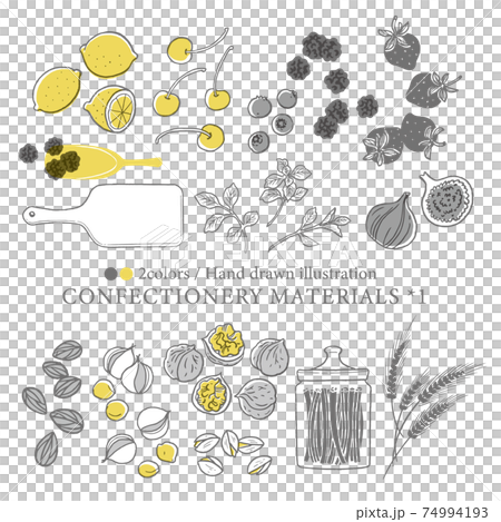 水果和堅果的線描插圖/鄉村風格 74994193